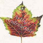 Fall Leaf print